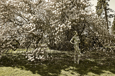 Magnolien / Magnolias Body Painting