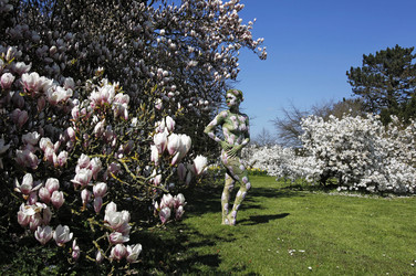 Magnolien / Magnolias Body Painting