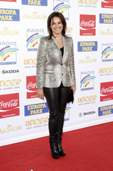 Radio Regenbogen Award 2015, Rust