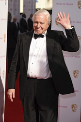61. British Academy Television Awards 2015 in London