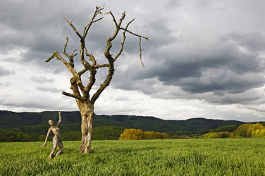 Nature Art: Abgestorbener Baum / Dead Tree Body Painting