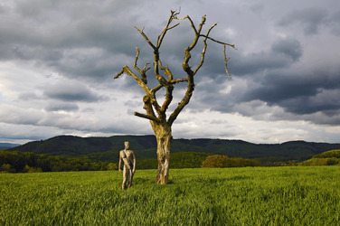 Nature Art: Abgestorbener Baum / Dead Tree Body Painting
