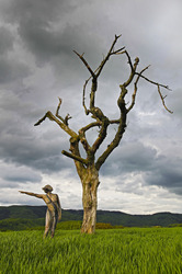 Nature Art: Abgestorbener Baum / Dead Tree Body Painting