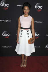 ABC Programmpräsentation 2015 in New York
