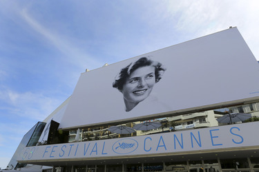 Cannes Film Festival 2015 Feature