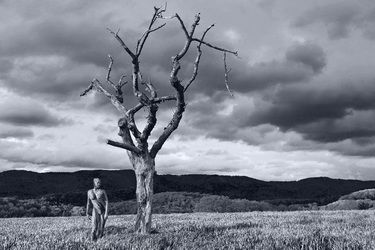 Nature Art: Abgestorbener Baum / Dead Tree Body Painting