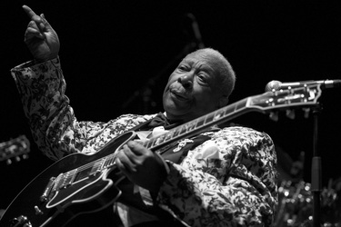 B:B. King Konzert in Hamburg