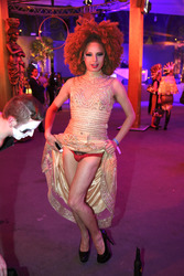 Life Ball 2015 in Wien
