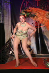 Life Ball 2015 in Wien