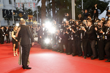 'The Sea of Trees' Premiere, Cannes Film Festival 2015