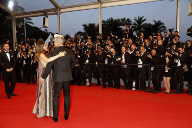 'The Sea of Trees' Premiere, Cannes Film Festival 2015