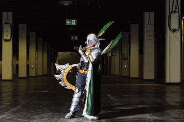 Role Play Convention 2015 in Köln