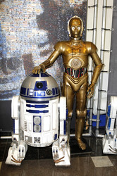 FedCon 24 in Düsseldorf