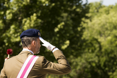 Vereidigung der Königlichen Garde
