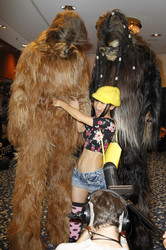 FedCon 24 in Düsseldorf