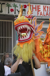 Karneval der Kulturen 2015