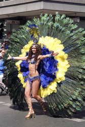 Karneval der Kulturen 2015
