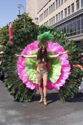 Karneval der Kulturen 2015