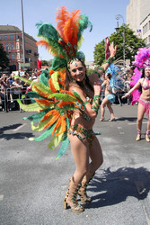 Karneval der Kulturen 2015