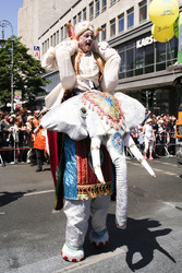 Karneval der Kulturen 2015