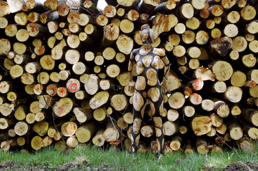 NATURE ART: Holzstoß / Woodpile Body Painting