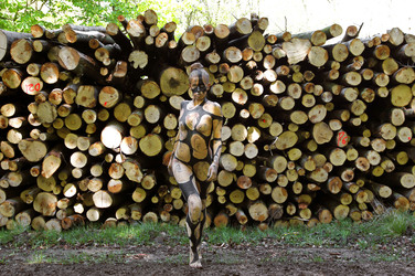 NATURE ART: Holzstoß / Woodpile Body Painting