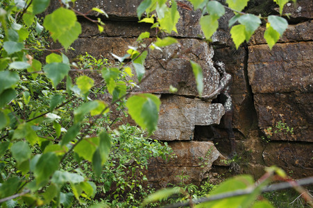 NATURE ART: Steinbruch / Quarry Bodypainting