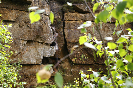 NATURE ART: Steinbruch / Quarry Bodypainting
