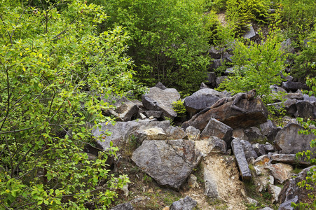 NATURE ART: Steinbruch / Quarry Bodypainting