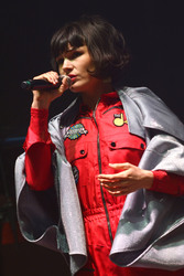 Hurricane Festival 2015 in Scheeßel
