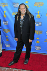 41. Saturn Awards in Burbank