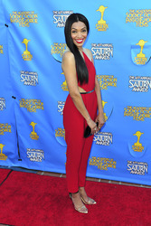 41. Saturn Awards in Burbank