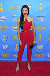 41. Saturn Awards in Burbank