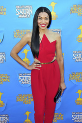 41. Saturn Awards in Burbank