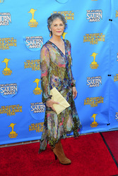 41. Saturn Awards in Burbank