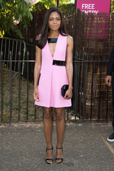 Serpentine Gallery Summer Party 2015 in London