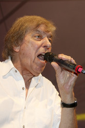 Schlagermove 2015 in Hamburg
