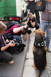Demonstration 'OXI – Schluss mit Lustig' in Berlin