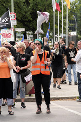 Protest gegen das Abschlachten der Grindwale in Berlin