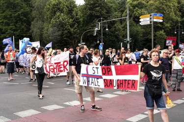 Protest gegen das Abschlachten der Grindwale in Berlin