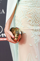 TNTLA Platino Awards 2015 Gala in Marbella