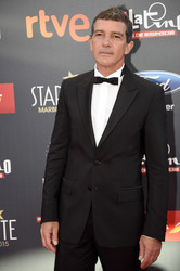 TNTLA Platino Awards 2015 Gala in Marbella