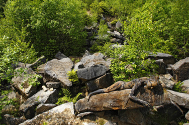 NATURE ART: Steinbruch / Quarry