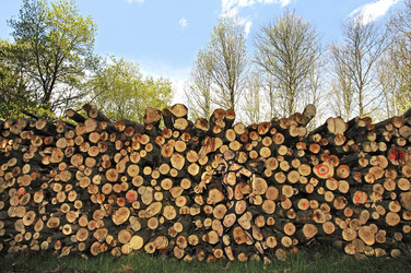 NATURE ART: Holzstoß / Woodpile