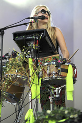 Lollapalooza Festival 2015 in Chicago