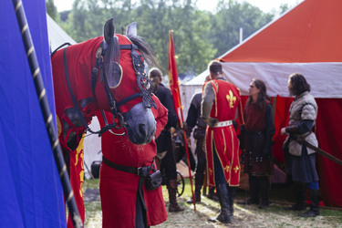 Mittelalterlich Phantasie Spectaculum 2015 in Köln