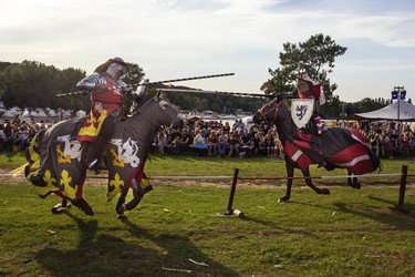 Mittelalterlich Phantasie Spectaculum 2015 in Köln