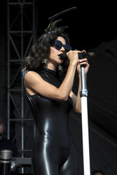 Lollapalooza Festival 2015 in Chicago