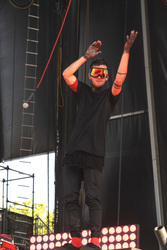 Lollapalooza Festival 2015 in Chicago