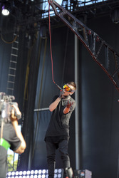 Lollapalooza Festival 2015 in Chicago